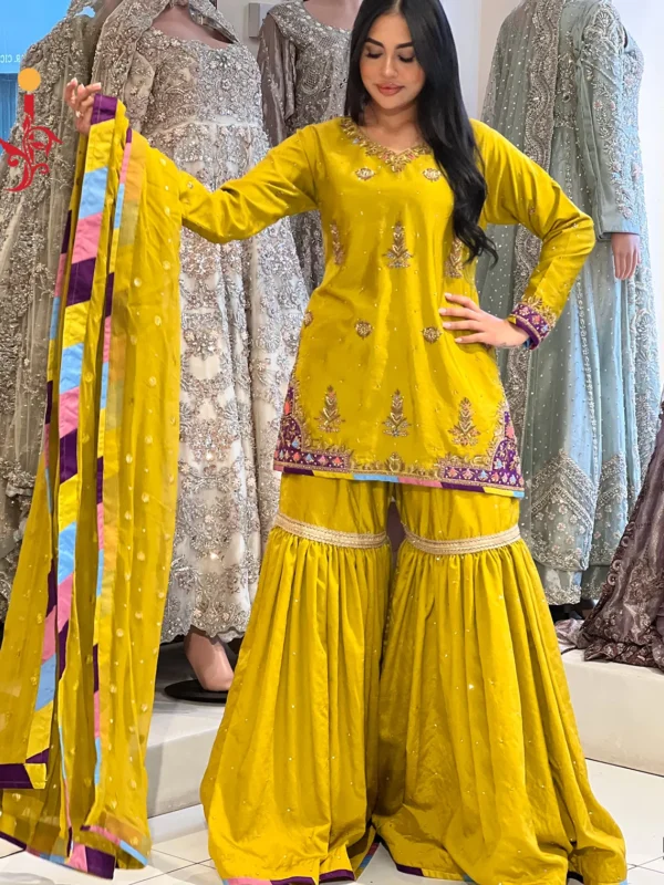Dhani Gharara - alternate view