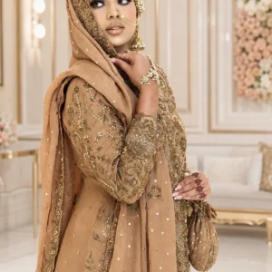 Rust Brown Embroidered Gharara