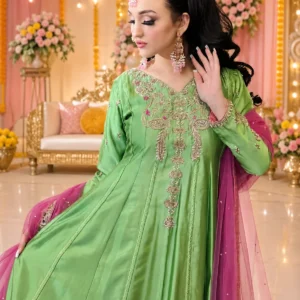 Parrot Green Silk Dress