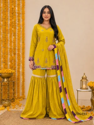 Dhani Gharara — close-up view | Jabeenz UK