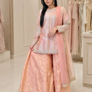Peach Mirage Partywear Sharara Set