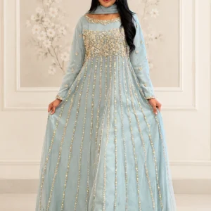 Ice Blue Party Wear Maxi
