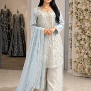 Ice Blue Pakistani Wedding & Party Wear with Palazzo